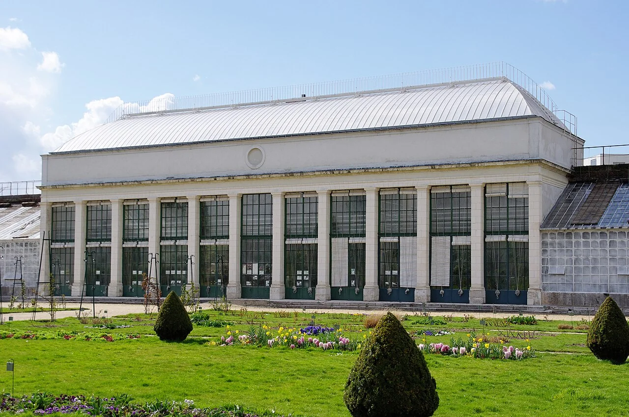 Orangerie du jardin des plantes