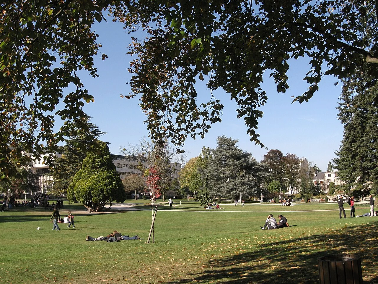 Pelouses et arbres du parc Louis Pasteur
